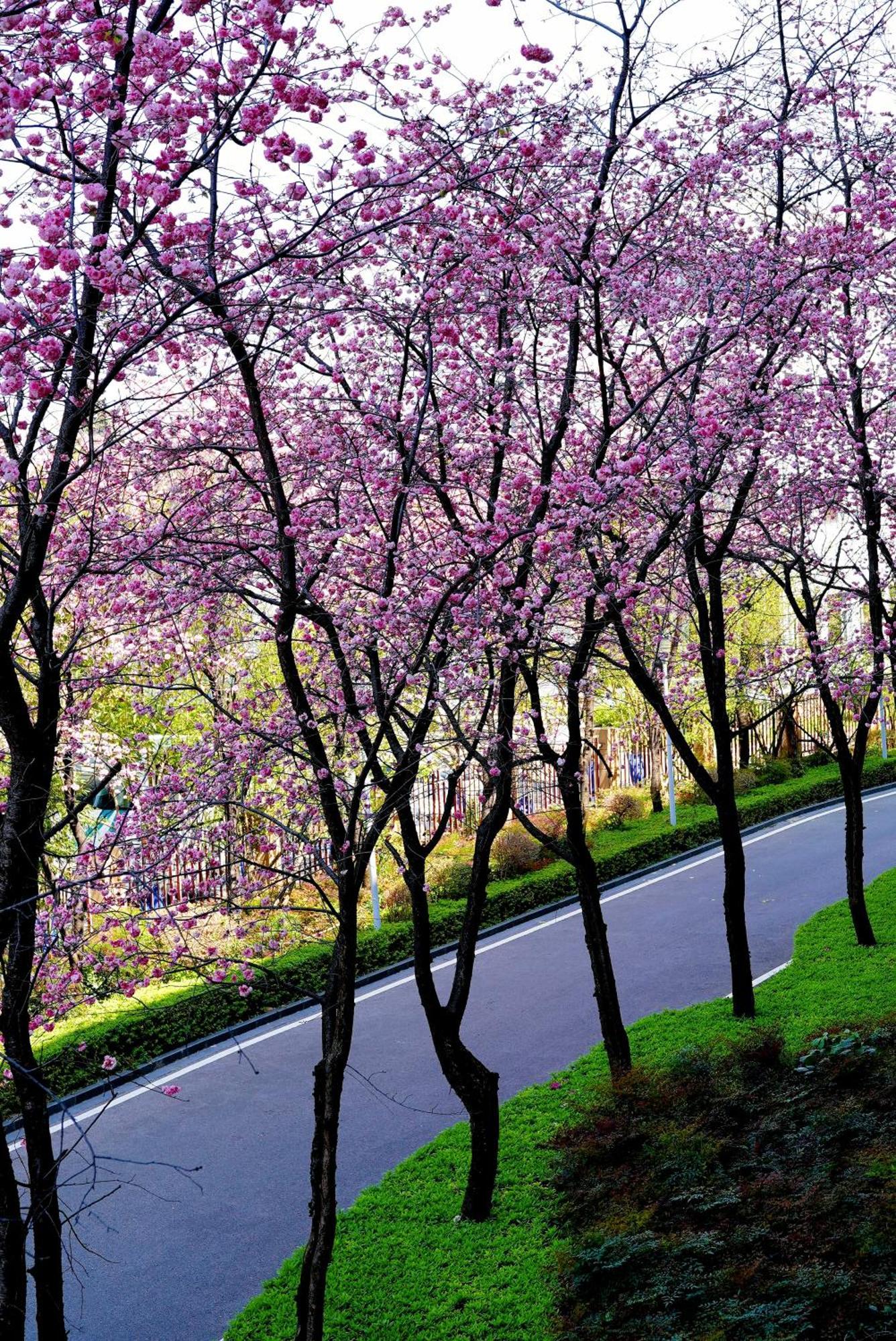 Intercontinental Kunming By Ihg Hotel Buitenkant foto